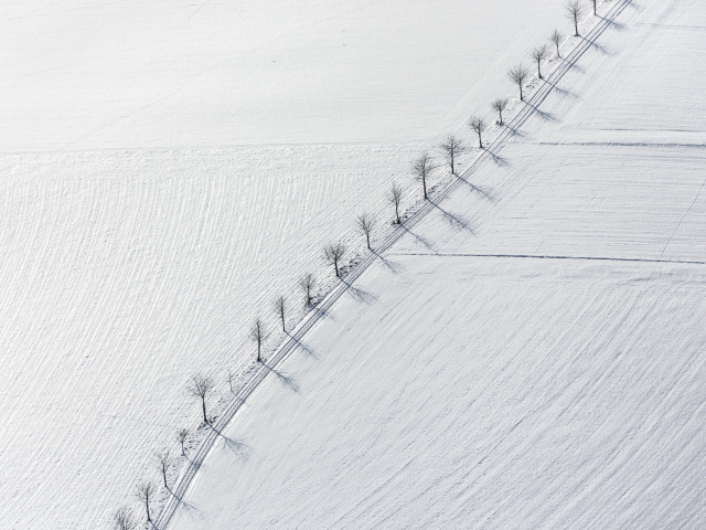 Winter Road screenshot #1 640x480