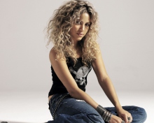 Shakira wallpaper 220x176