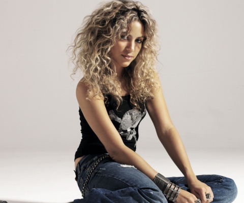 Shakira screenshot #1 480x400