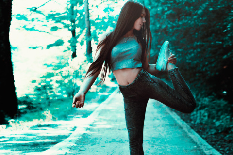 Swag Fit Girl wallpaper 480x320