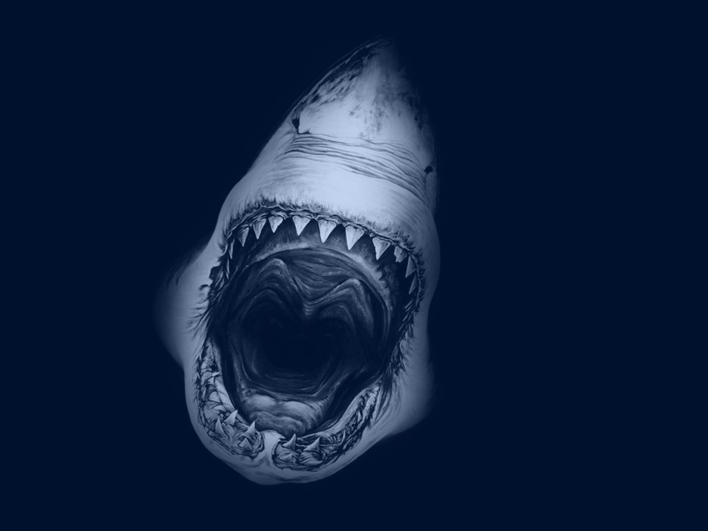 Huge Toothy Shark wallpaper 1024x768