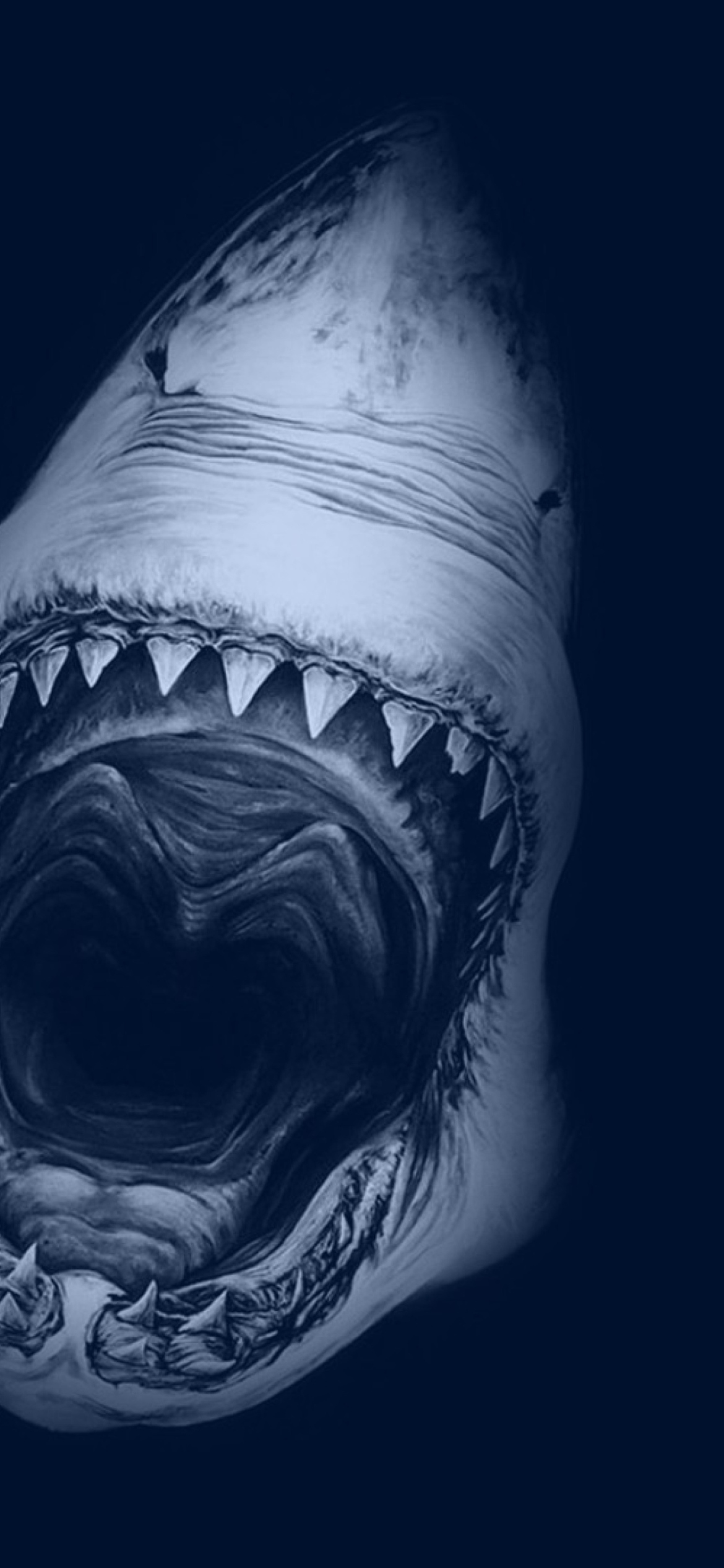 Huge Toothy Shark wallpaper 1170x2532