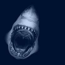 Das Huge Toothy Shark Wallpaper 208x208
