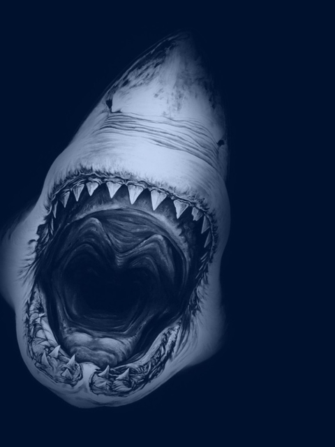 Das Huge Toothy Shark Wallpaper 480x640