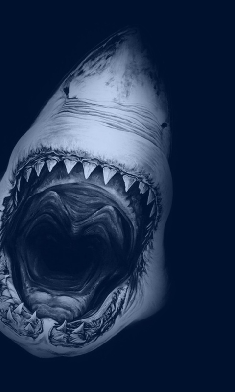Das Huge Toothy Shark Wallpaper 480x800