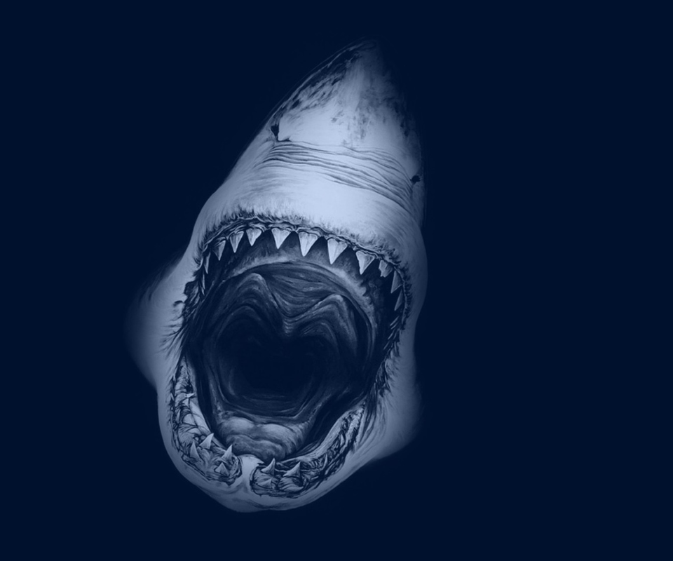 Das Huge Toothy Shark Wallpaper 960x800