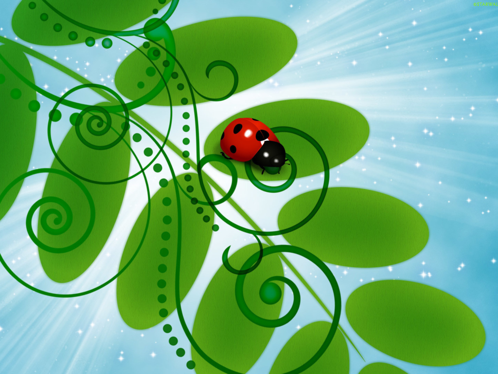 3D Ladybug wallpaper 1024x768