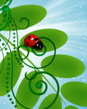 3D Ladybug wallpaper 176x220