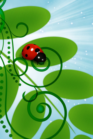 3D Ladybug wallpaper 320x480