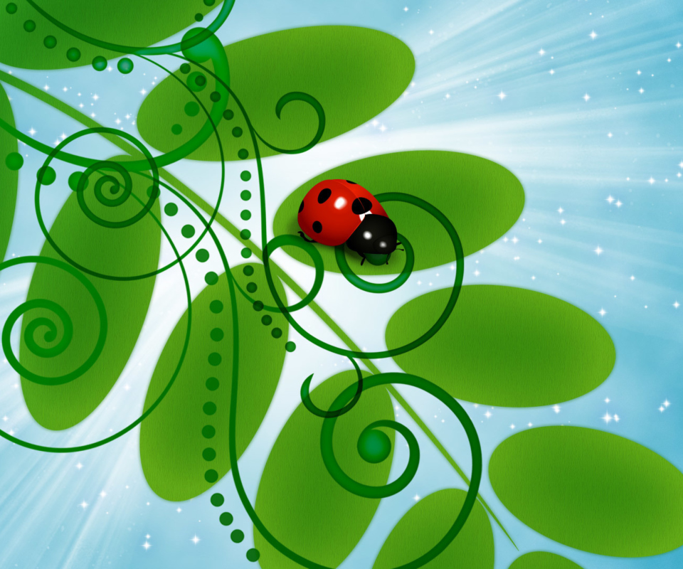 3D Ladybug wallpaper 960x800