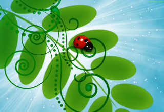 3D Ladybug sfondi gratuiti per 1920x1080