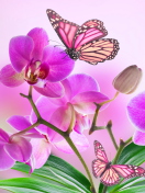 Screenshot №1 pro téma Orchids 132x176