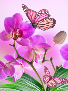 Fondo de pantalla Orchids 240x320