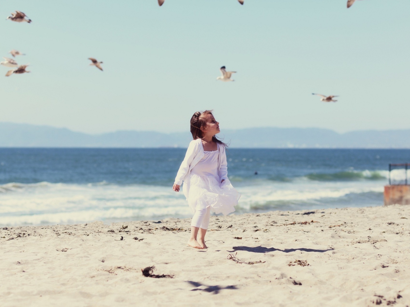 Little Girl At Beach And Seagulls wallpaper 1400x1050