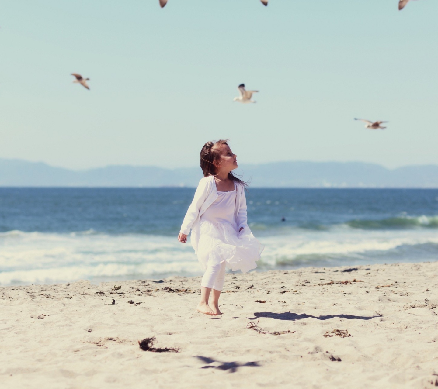 Sfondi Little Girl At Beach And Seagulls 1440x1280