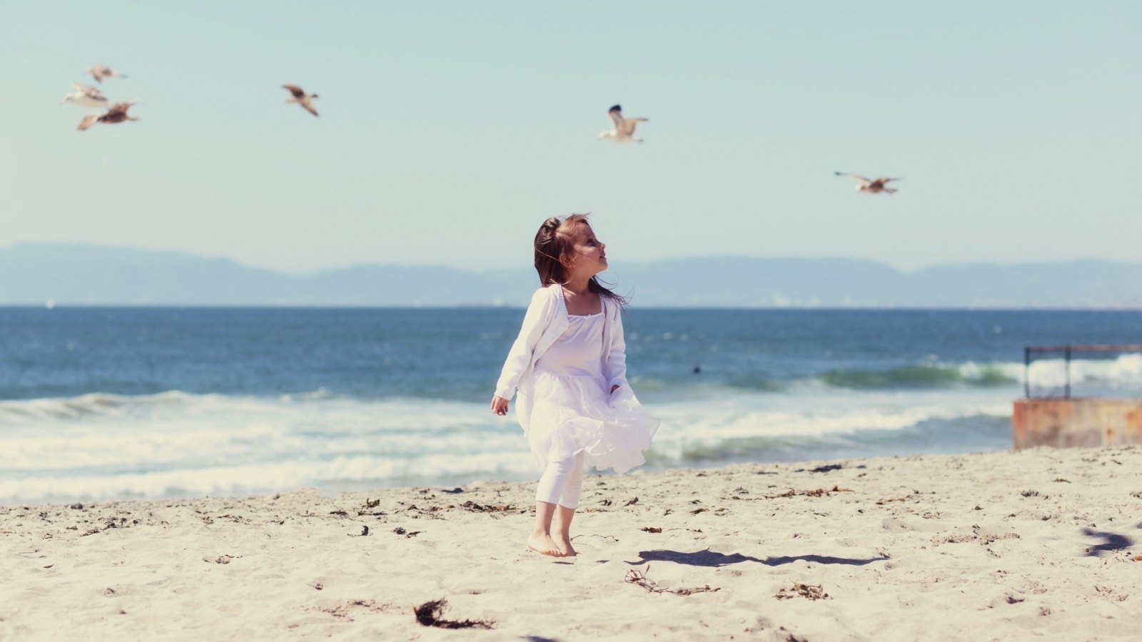 Обои Little Girl At Beach And Seagulls 1600x900