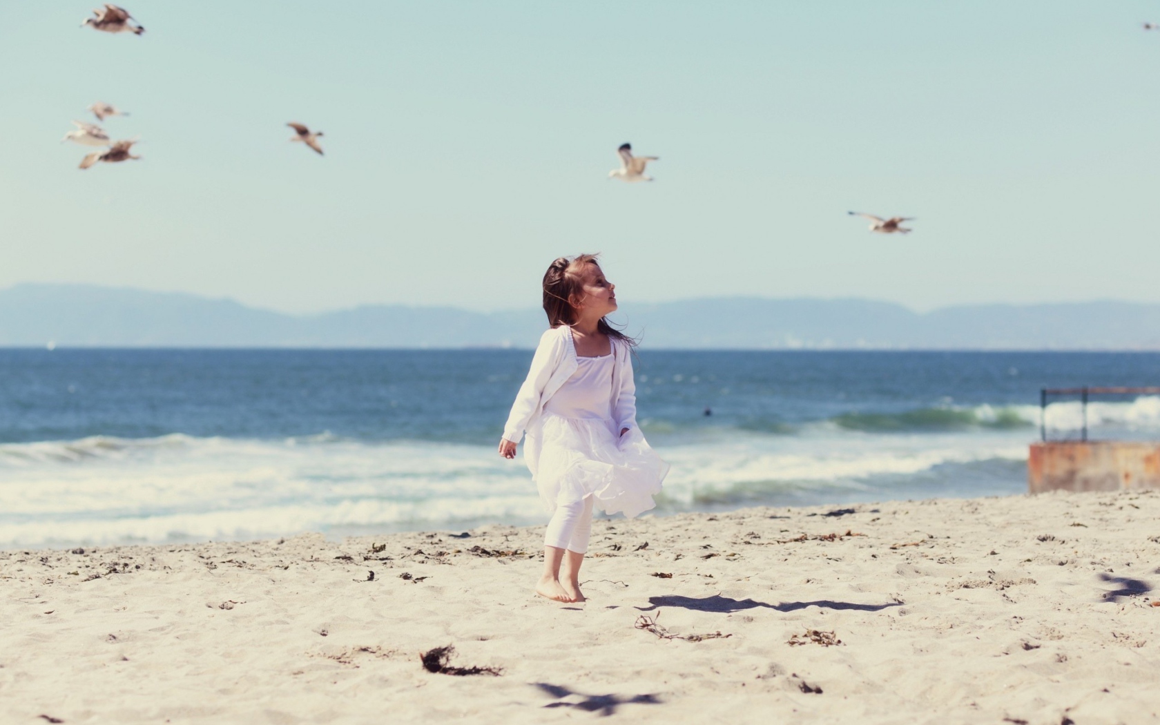 Sfondi Little Girl At Beach And Seagulls 1680x1050