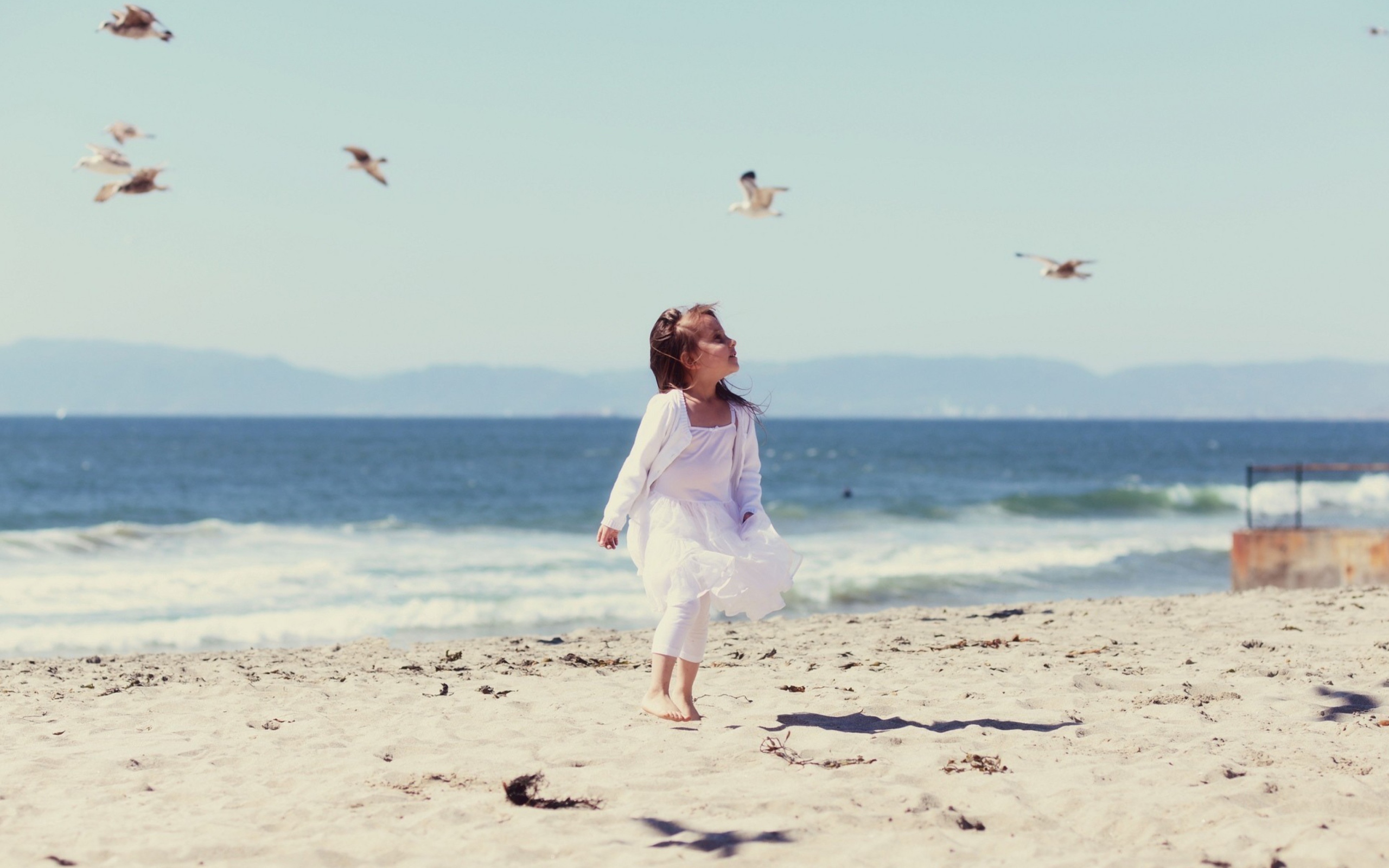 Little Girl At Beach And Seagulls wallpaper 2560x1600