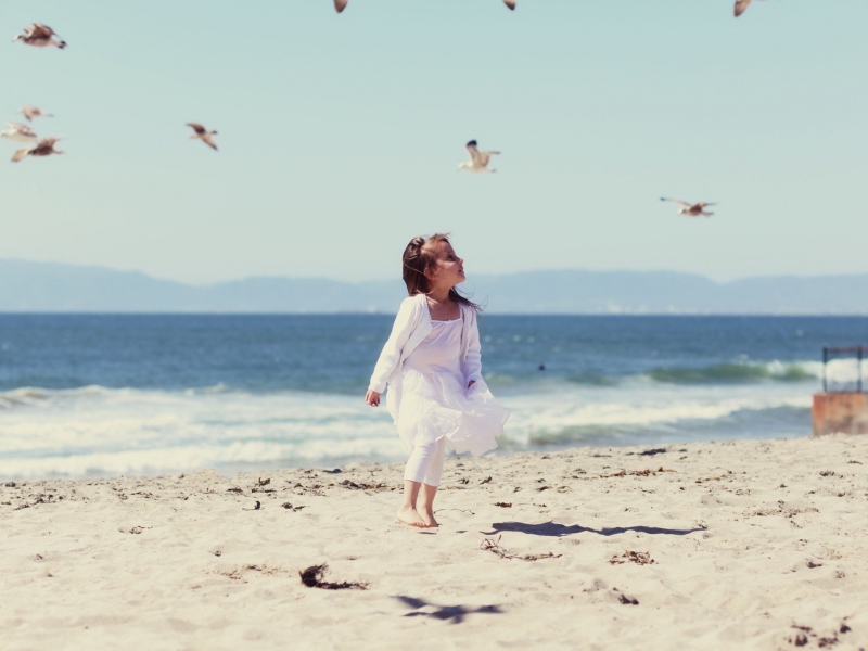 Little Girl At Beach And Seagulls screenshot #1 800x600