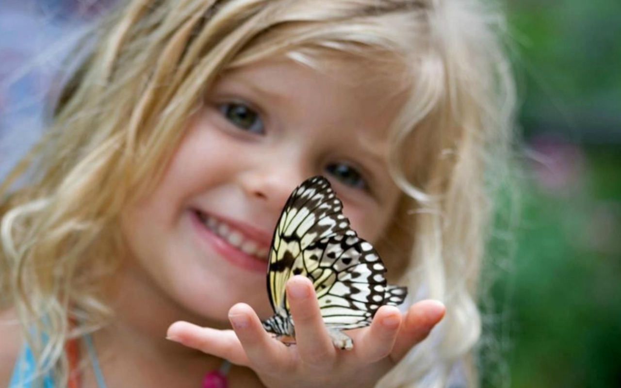 Das Little Girl And Butterfly Wallpaper 1280x800