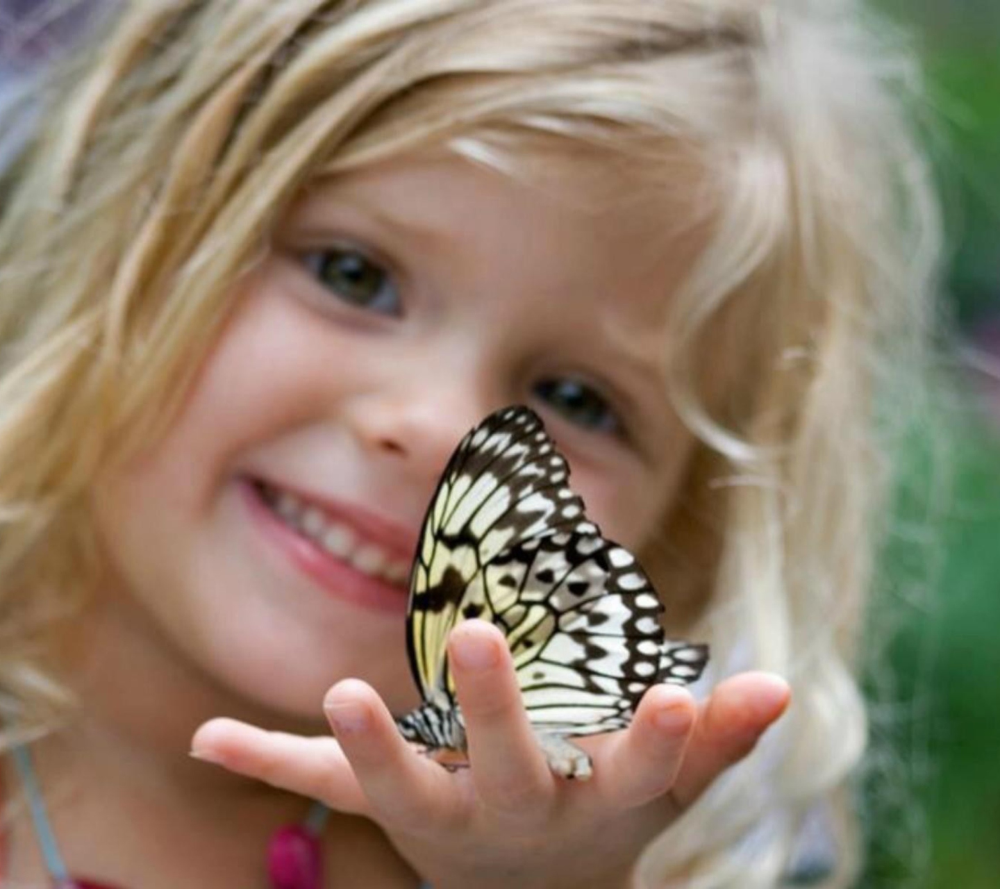 Fondo de pantalla Little Girl And Butterfly 1440x1280
