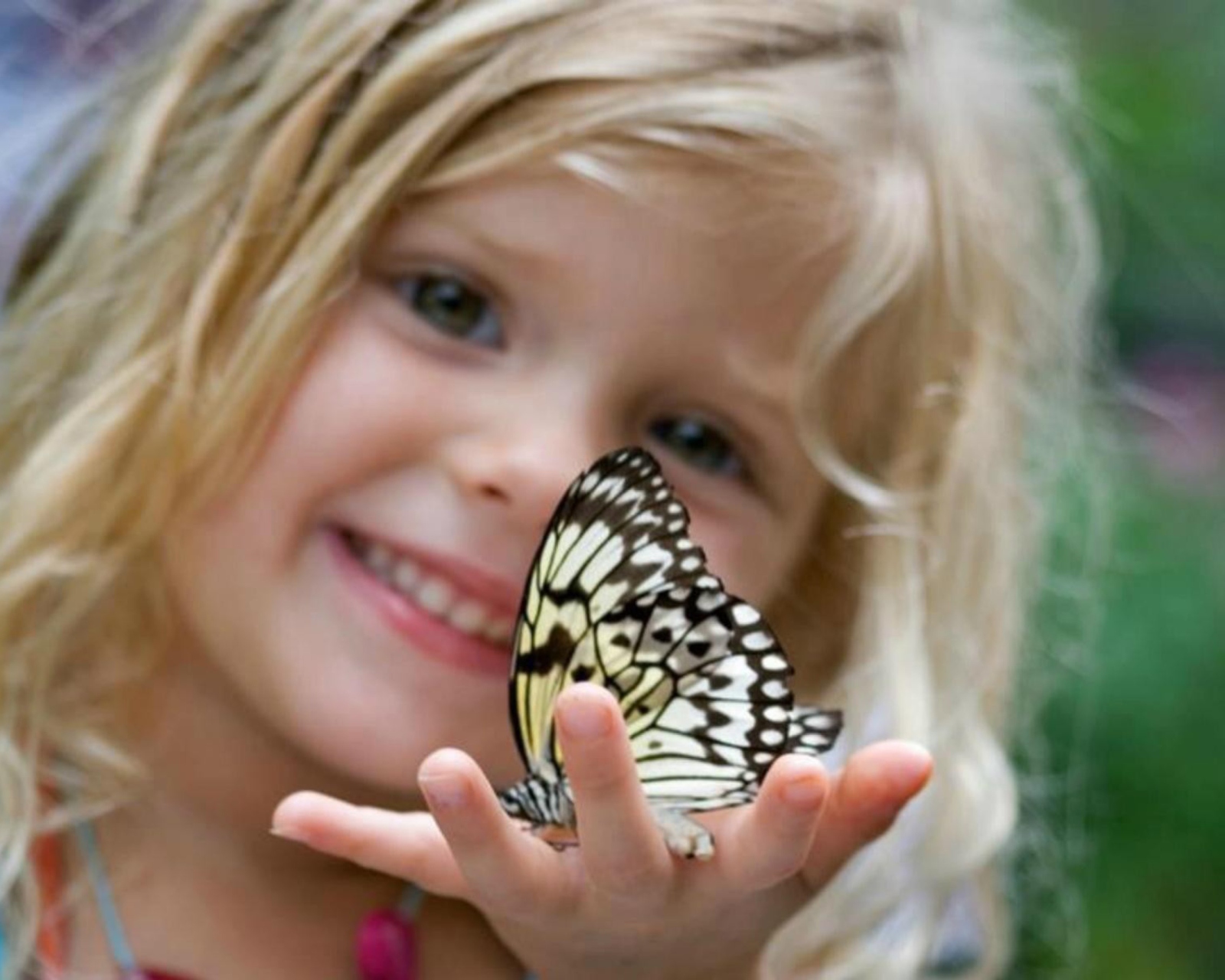 Обои Little Girl And Butterfly 1600x1280