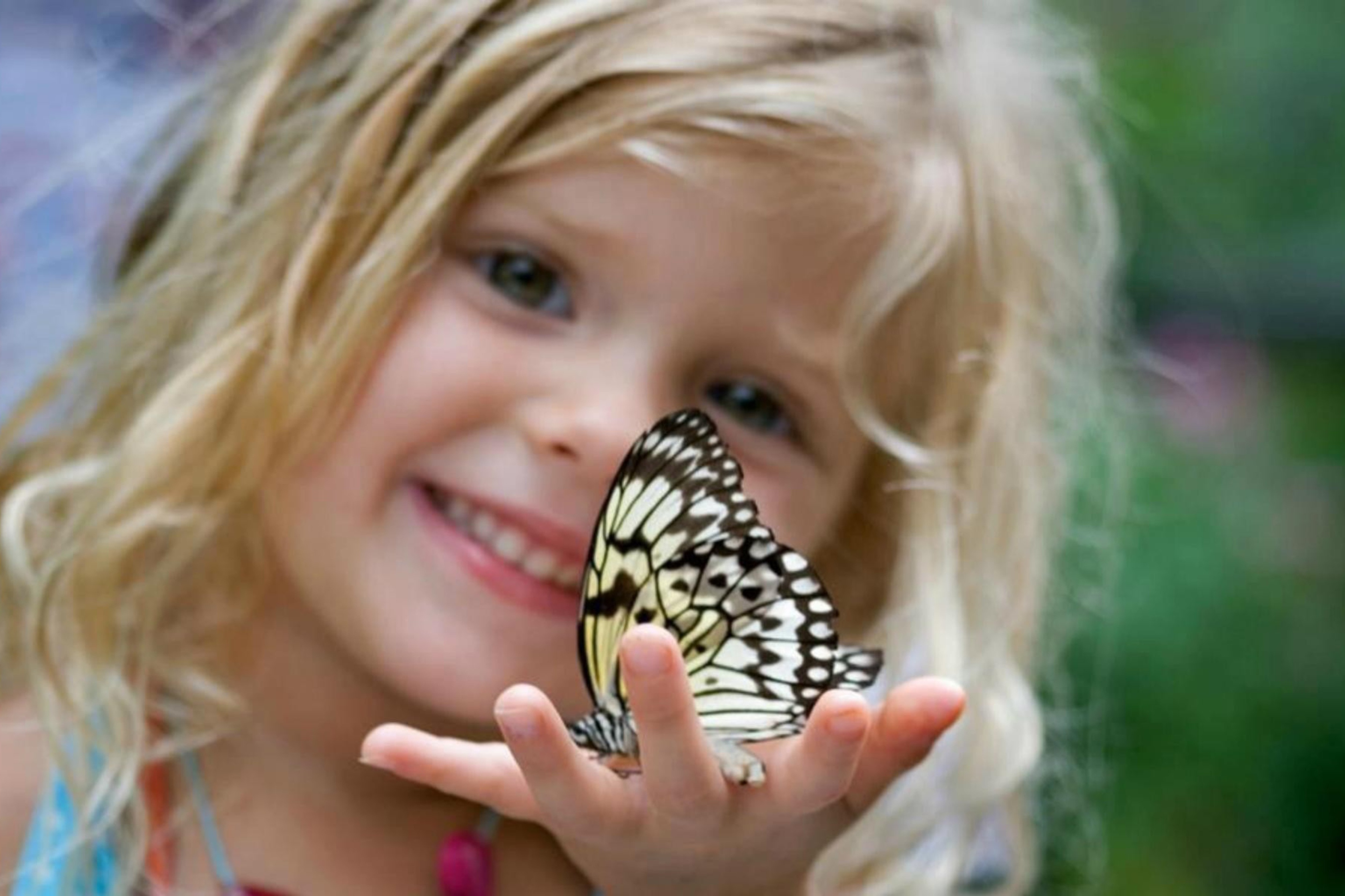 Много маленьких радостей. Девочка с бабочкой. Бабочка на ладони.