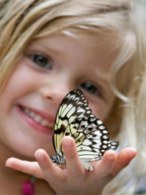 Little Girl And Butterfly wallpaper 480x640