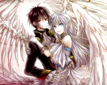 Das Anime Angel And Demon Love Wallpaper 220x176