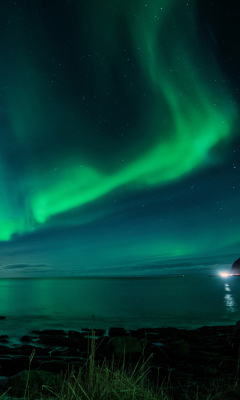 Обои Iceland Northern Lights 240x400