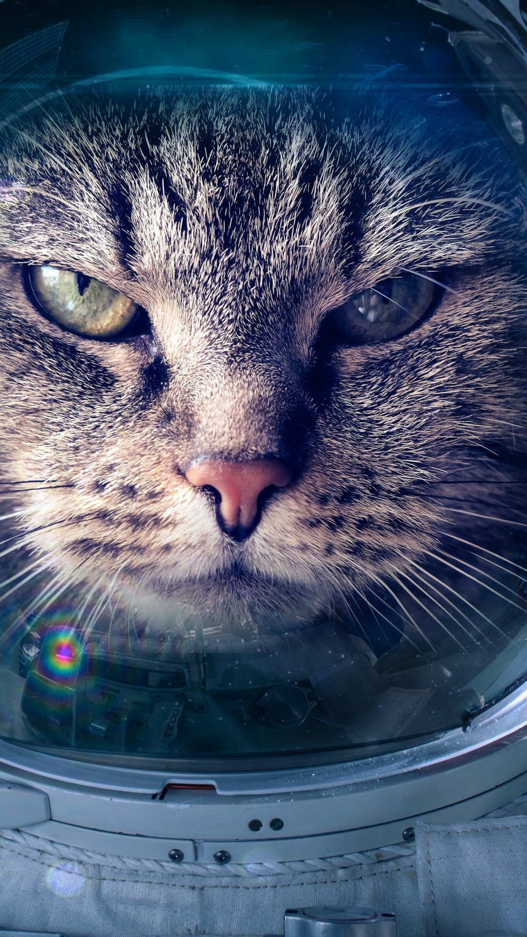 Astronaut cat screenshot #1 1080x1920