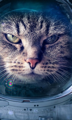 Sfondi Astronaut cat 240x400