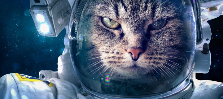 Das Astronaut cat Wallpaper 720x320