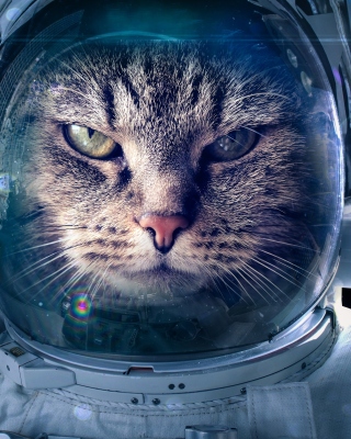 Astronaut cat - Obrázkek zdarma pro Nokia Asha 503