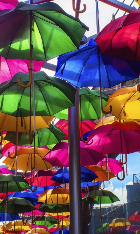 Umbrellas Street screenshot #1 480x800