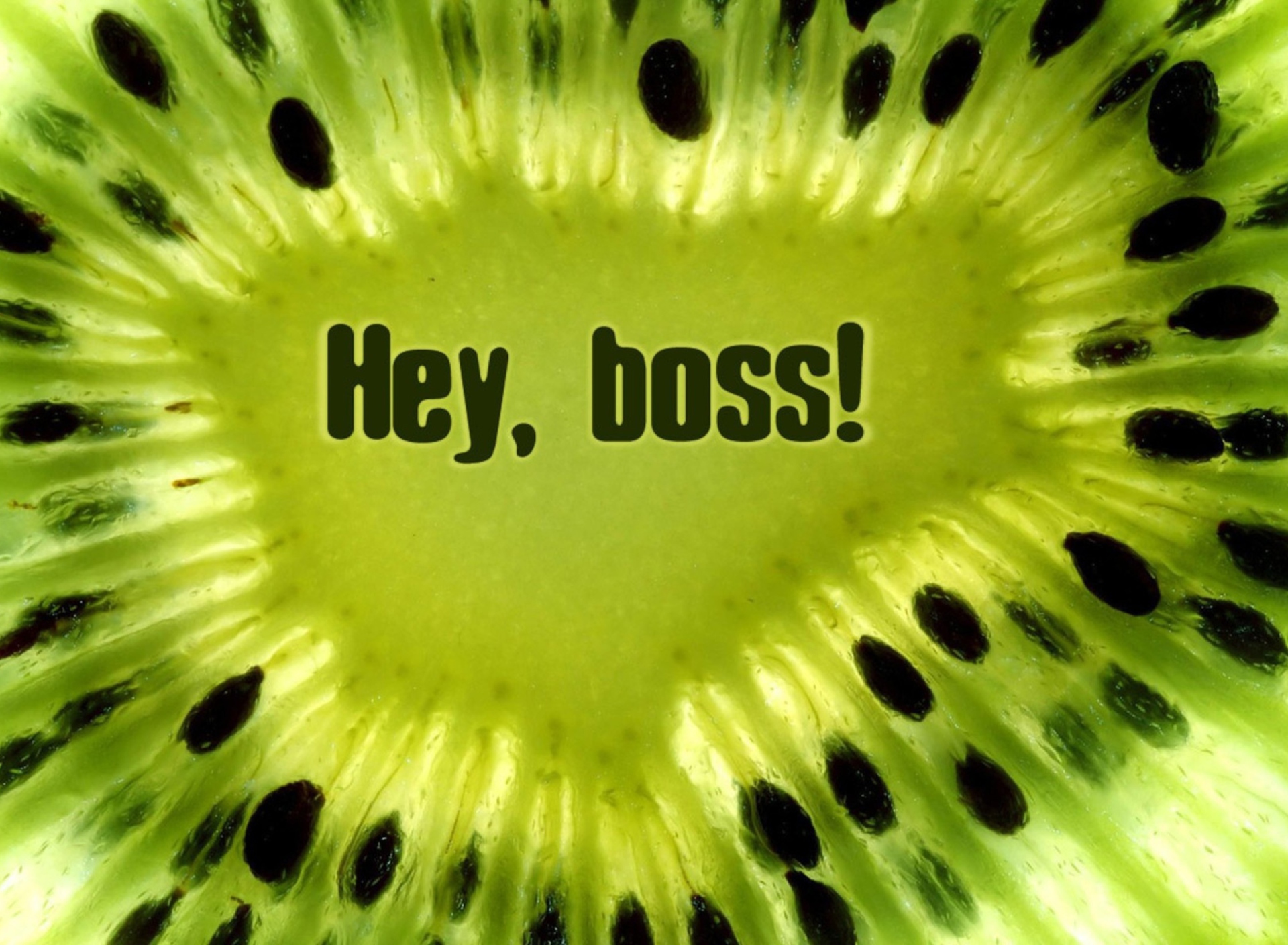 Hey Boss wallpaper 1920x1408