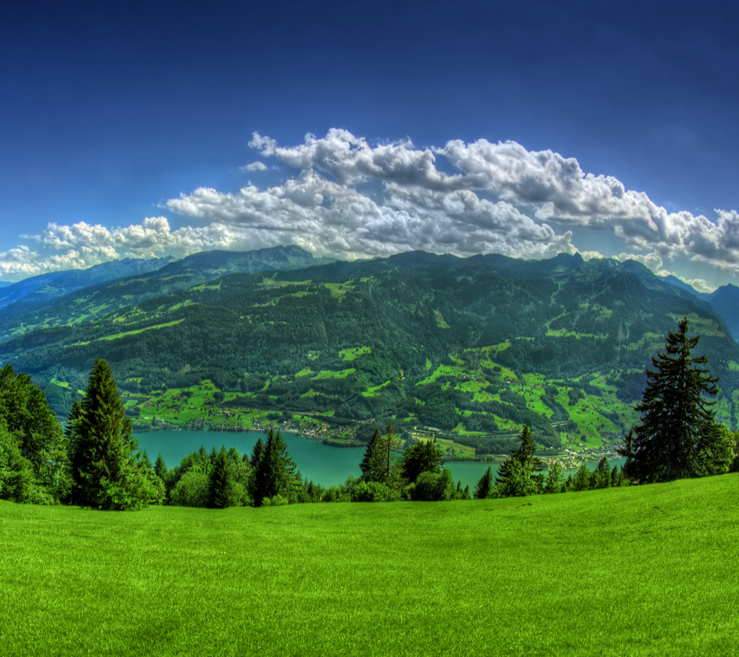 Das Nice Scenery Wallpaper 1440x1280