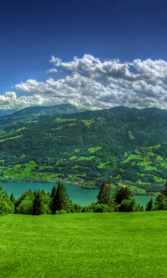 Das Nice Scenery Wallpaper 240x400