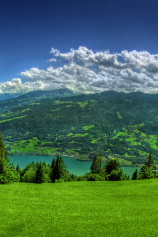 Das Nice Scenery Wallpaper 320x480