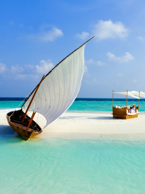 Fondo de pantalla Beautiful beach leisure on Maldives 480x640