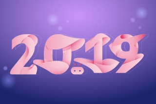 New Year Celebrations 2019 - Obrázkek zdarma pro Android 800x1280