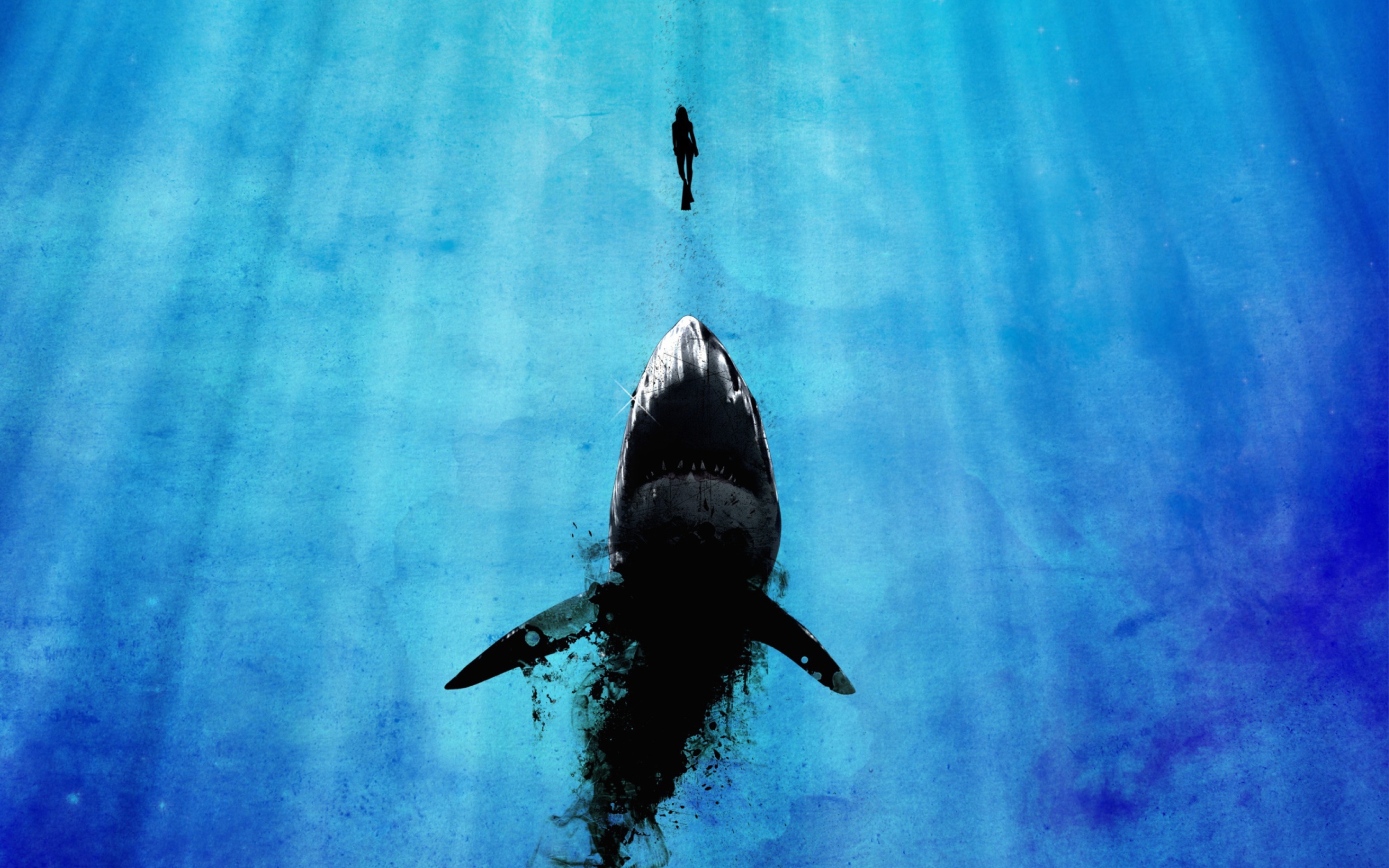 Fondo de pantalla Shark And Swimmer 2560x1600