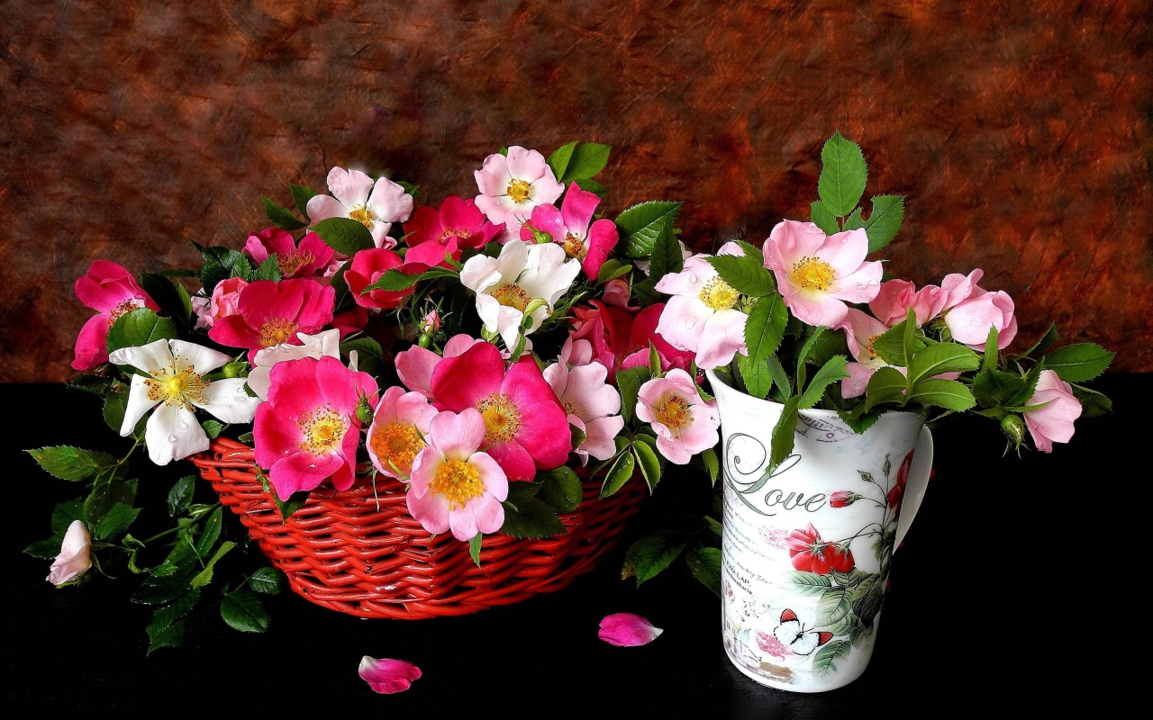 Fondo de pantalla Sweetheart flowers 1280x800