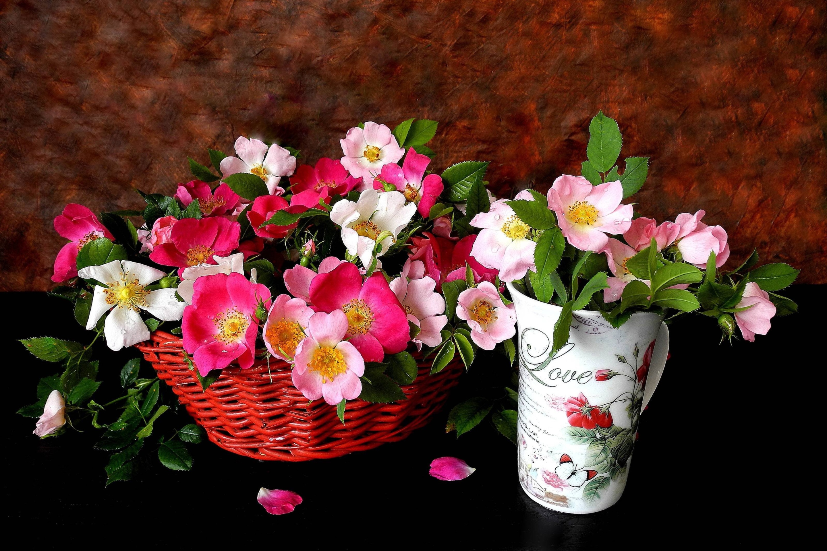 Fondo de pantalla Sweetheart flowers 2880x1920