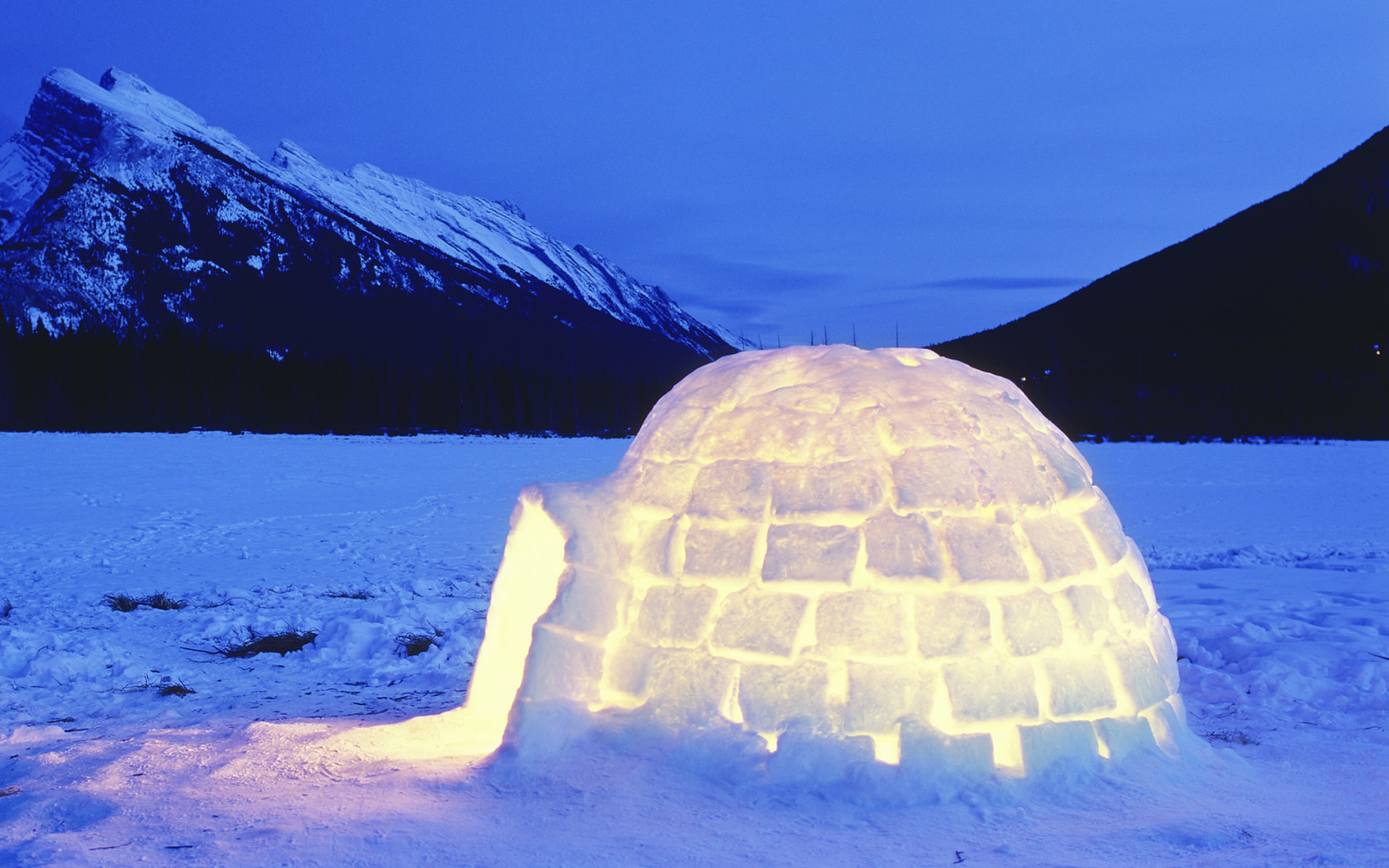 Igloo wallpaper 1920x1200