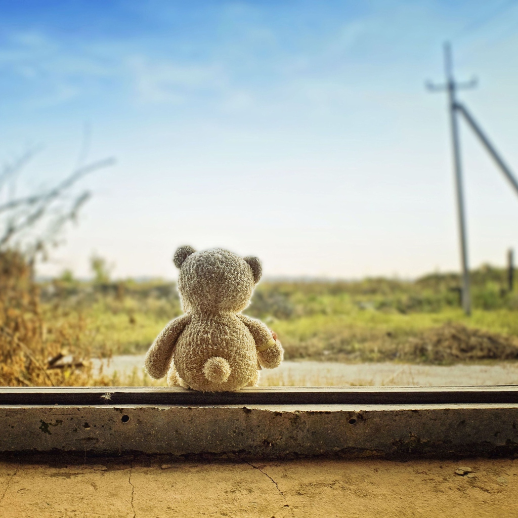 Lonely Teddy Bear wallpaper 1024x1024