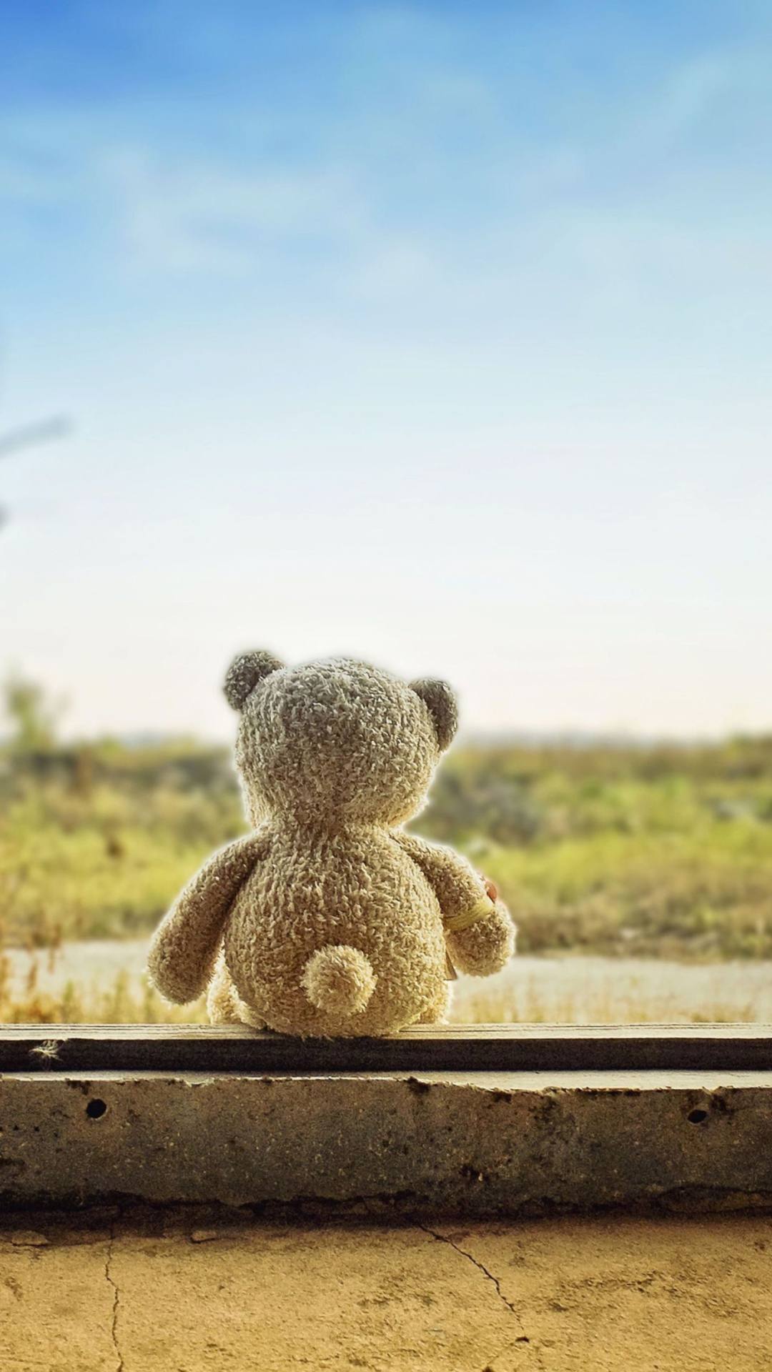 Lonely Teddy Bear wallpaper 1080x1920