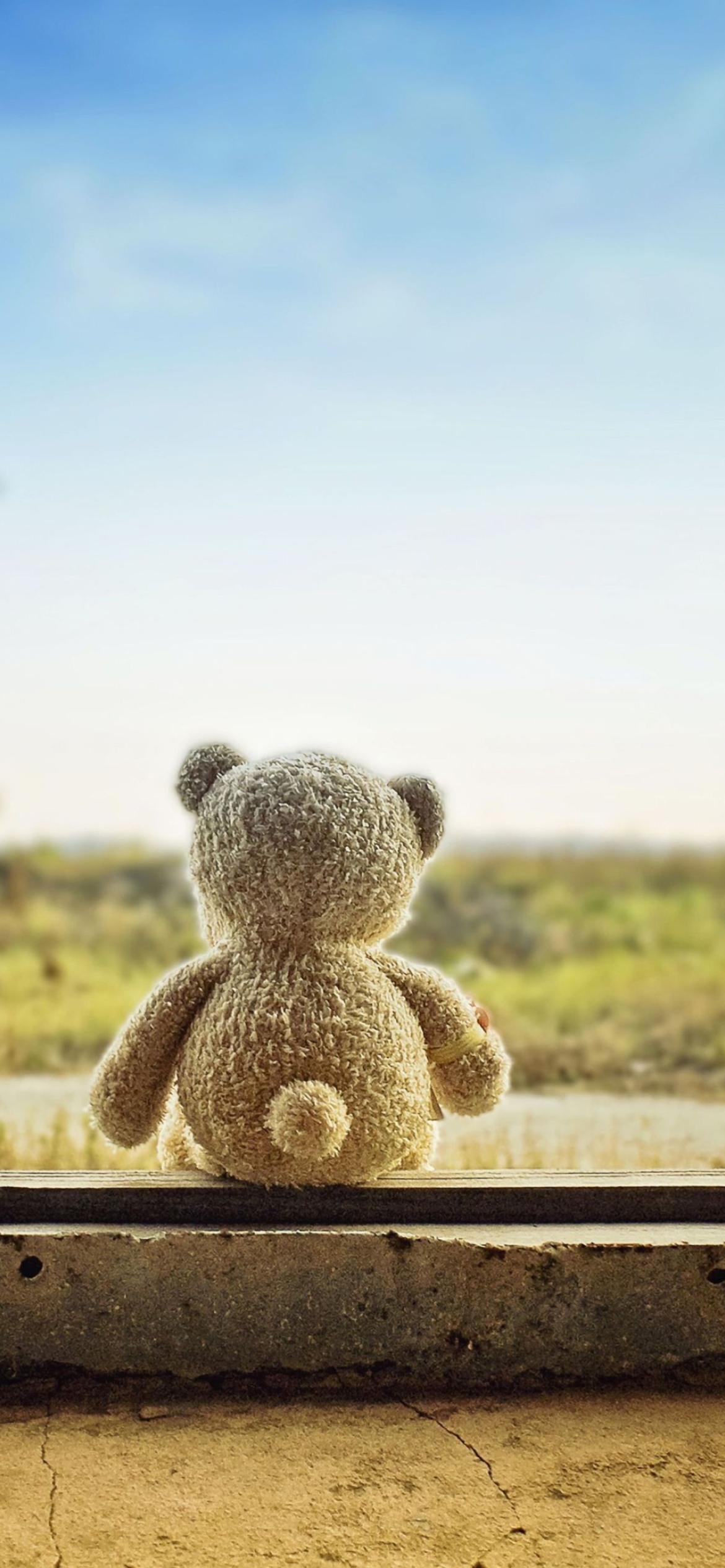 Teddy Bear Wallpapers Free Download Group (68+)