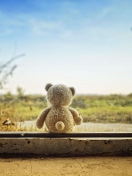 Das Lonely Teddy Bear Wallpaper 132x176