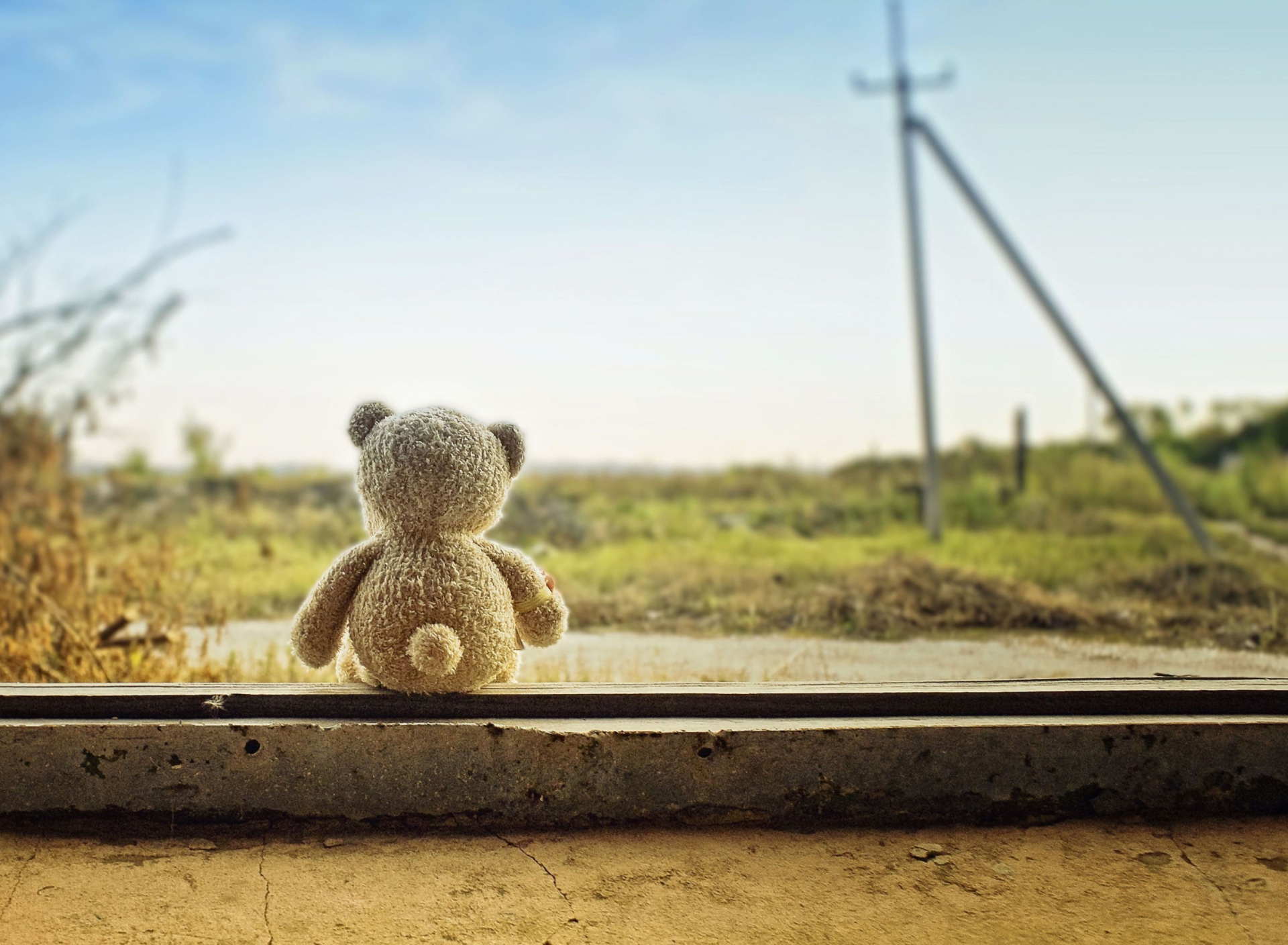 Sfondi Lonely Teddy Bear 1920x1408